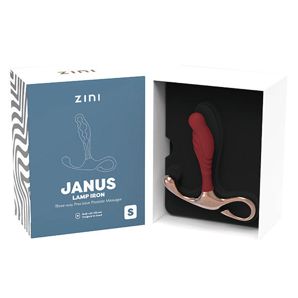 Zini - JANUS Lampe Eisen (S) Bordeaux