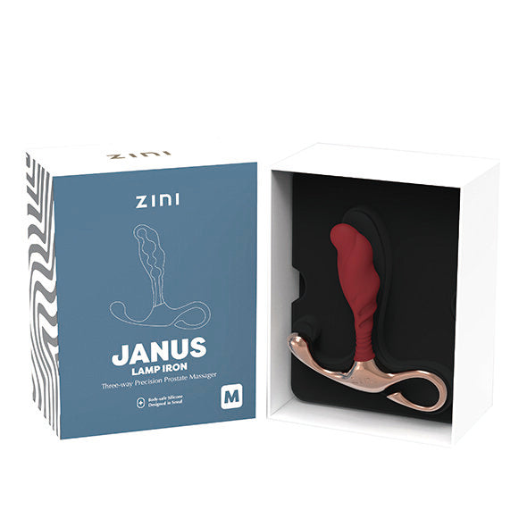 Zini - JANUS Lamp Iron (M) Bordeaux