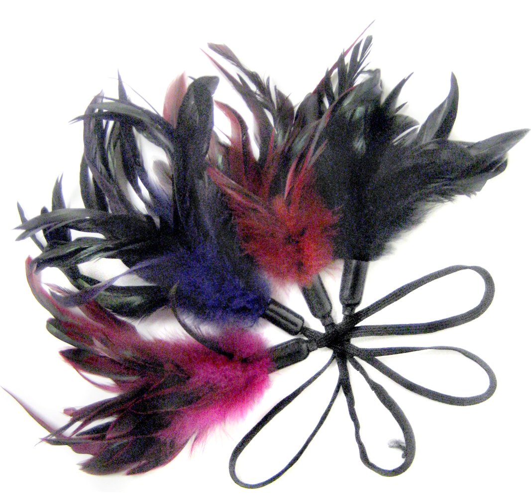 Sportsheets - Pleasure Feather Roze